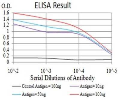 ELISA: JNK3 Antibody (2B10H12) - BSA Free [NBP2-61801]