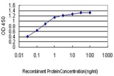 ELISA: JPH1 Antibody (2E6) [H00056704-M04]