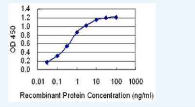 ELISA: JSRP1 Antibody (6A9) [H00126306-M02-100ug]
