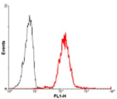 Flow Cytometry: Jagged 1 Antibody (J1G53-3) - Azide and BSA Free [NBP3-11671]