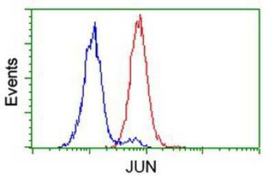 Flow Cytometry: c-jun Antibody (OTI3G2) [NBP2-02258]
