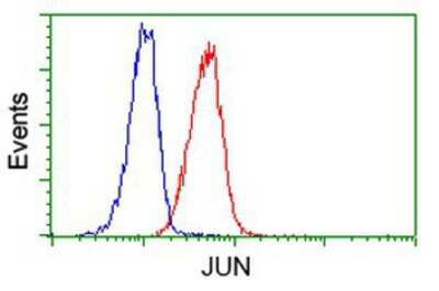 Flow Cytometry: c-jun Antibody (OTI3G2) [NBP2-02258]
