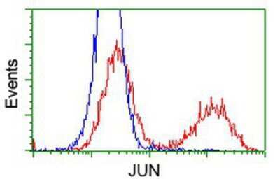 Flow Cytometry: c-jun Antibody (OTI3G2) [NBP2-02258]