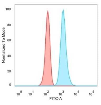 Flow Cytometry: JunB/AP-1 Antibody (PCRP-JUNB-3G11) [NBP3-07578]