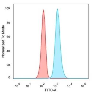 Flow Cytometry: JunB/AP-1 Antibody (PCRP-JUNB-3G11) - Azide and BSA Free [NBP3-08390]