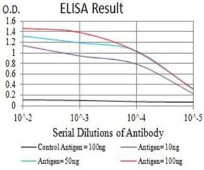 ELISA: KA2/GRIK5/Glutamate Receptor KA2 Antibody (4G5H8) - BSA Free [NBP2-61804]