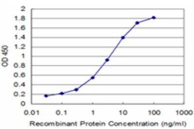 ELISA: KAL1 Antibody (1C9) [H00003730-M03]