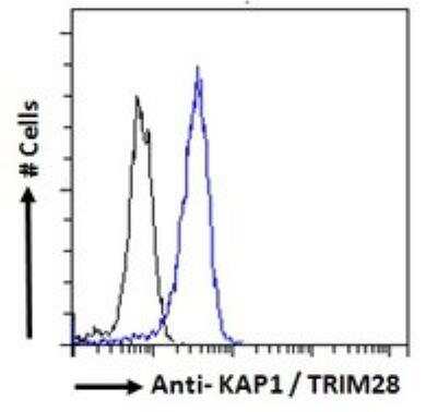 Flow Cytometry: KAP1 Antibody [NB100-1161]