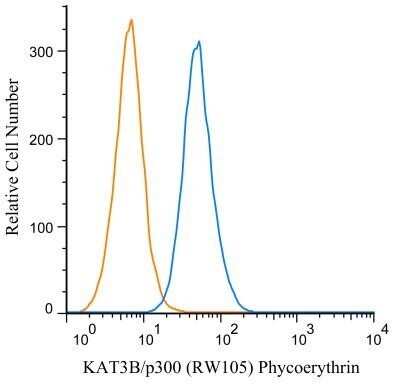 Flow Cytometry: KAT3B/p300 Antibody (RW105) - Azide and BSA Free [NBP2-80820]