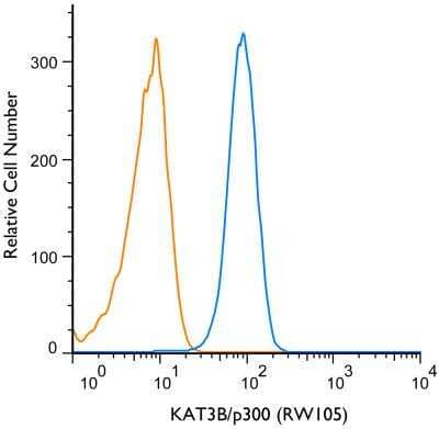 Flow (Intracellular): KAT3B/p300 Antibody (RW105) - BSA Free [NB100-616]