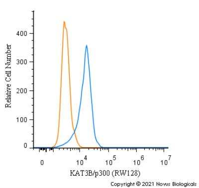 Flow Cytometry: KAT3B/p300 Antibody (RW128) - Azide and BSA Free [NBP2-80819]