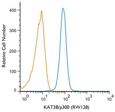 Flow (Intracellular): KAT3B/p300 Antibody (RW128) - BSA Free [NB100-507]