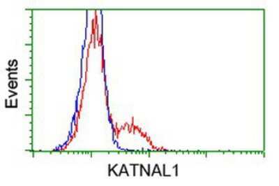 Flow Cytometry: KATNAL1 Antibody (OTI1A7) [NBP2-03555]