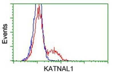 Flow Cytometry: KATNAL1 Antibody (OTI1A7) - Azide and BSA Free [NBP2-72254]