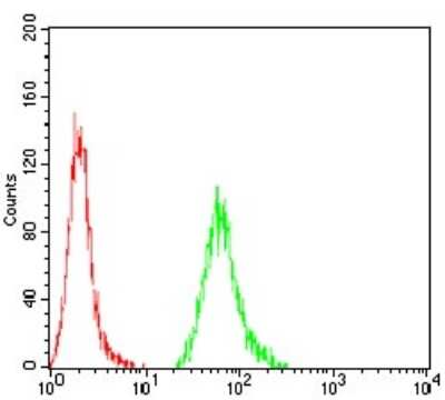 Flow Cytometry: KBTBD8 Antibody (7G8A6) - BSA Free [NBP2-52496]