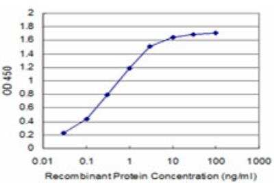 ELISA: KCNK10 Antibody (1C1) [H00054207-M03]