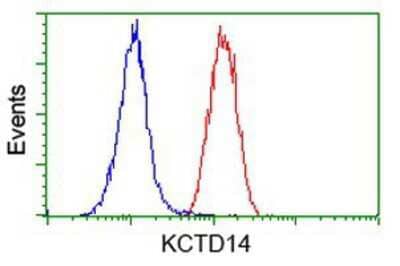 Flow Cytometry: KCTD14 Antibody (OTI1D11) [NBP2-00470]