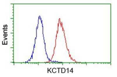 Flow Cytometry: KCTD14 Antibody (OTI1D11) [NBP2-00470]