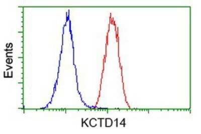 Flow Cytometry: KCTD14 Antibody (OTI1D11) - Azide and BSA Free [NBP2-72173]