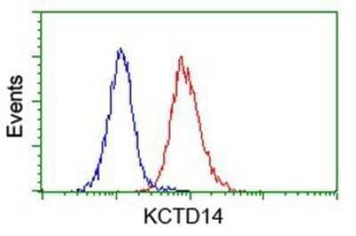 Flow Cytometry: KCTD14 Antibody (OTI1D11) - Azide and BSA Free [NBP2-72173]