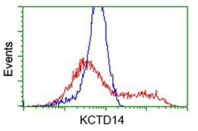 Flow Cytometry: KCTD14 Antibody (OTI1D11) - Azide and BSA Free [NBP2-72173]