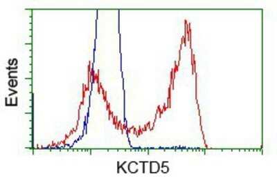 Flow Cytometry: KCTD5 Antibody (OTI3C8) - Azide and BSA Free [NBP2-71955]