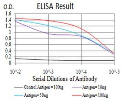 ELISA: KDM2B Antibody (3B7D11) - BSA Free [NBP2-52466]