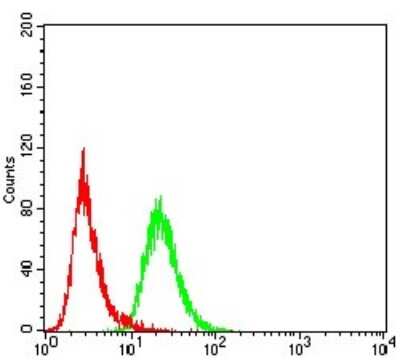 Flow Cytometry: KDM2B Antibody (6F6G11) - BSA Free [NBP2-52467]