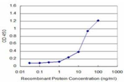 ELISA: KHSRP Antibody (2G5) [H00008570-M05]