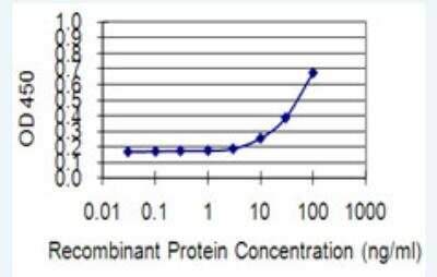 ELISA: KIF13B Antibody (6E11) [H00023303-M01-100ug]