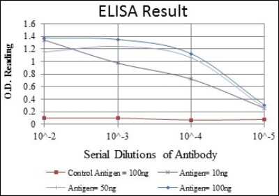 ELISA: KIF22 Antibody (1E3) - BSA Free [NBP2-37550]