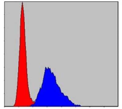 Flow Cytometry: KIF22 Antibody (1E3) - BSA Free [NBP2-37550]