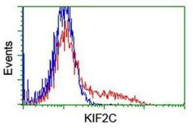 Flow Cytometry: KIF2C Antibody (OTI1C5) [NBP2-01064]