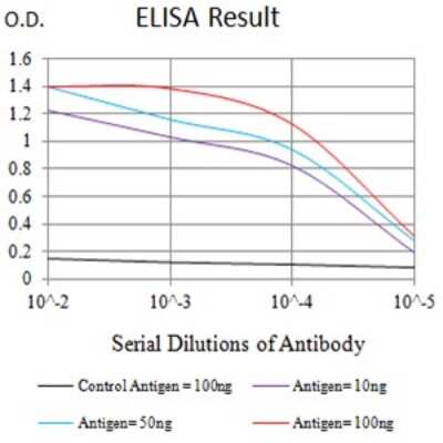 ELISA: KIR3DL1 Antibody (2C3B6) - BSA Free [NBP2-61687]
