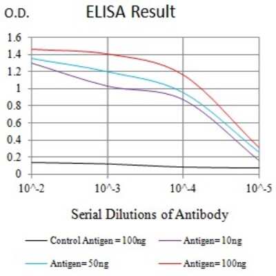 ELISA: KIR3DL1 Antibody (6D9A4) - BSA Free [NBP2-61805]
