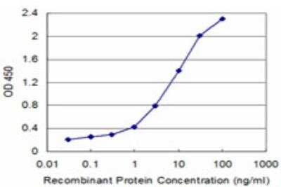 ELISA: KISS1 Antibody (1D11) [H00003814-M03]