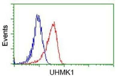 Flow Cytometry: KIST Antibody (OTI2H4) - Azide and BSA Free [NBP2-72383]