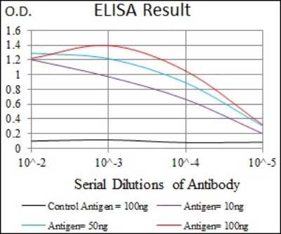 ELISA: KLF1 Antibody (1B6A3) - BSA Free [NBP2-37380]