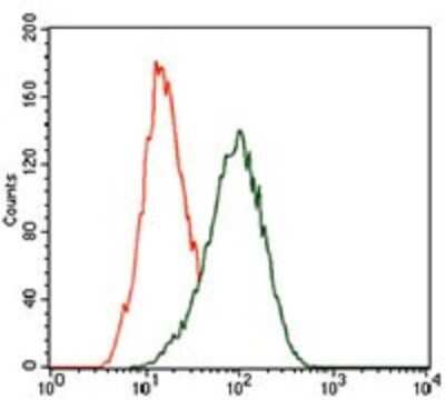 Flow Cytometry: KLF1 Antibody (1B6A3) - BSA Free [NBP2-37380]