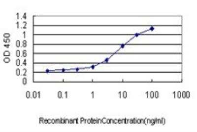 ELISA: KLF11 Antibody (8F4) [H00008462-M01]