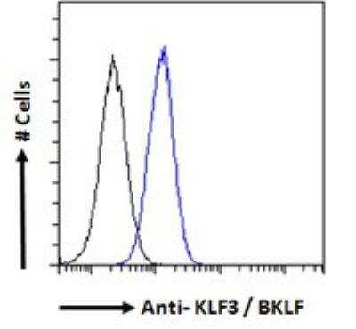 Flow Cytometry: KLF3 Antibody [NB100-1018]