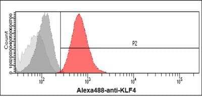 Flow Cytometry: KLF4 Antibody (4E6) - BSA Free [NBP1-21047]