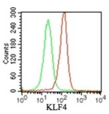 Flow Cytometry: KLF4 Antibody [NBP2-24749]