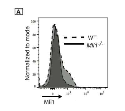 Flow Cytometry: KMT2A/MLL Antibody [NB600-256]