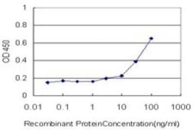 ELISA: KPNA5 Antibody (1D2) [H00003841-M01]