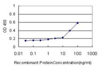 ELISA: KRAS Antibody (3B10-2F2) [H00003845-M01]