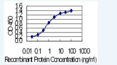 ELISA: KRT24 Antibody (2D2) [H00192666-M01-100ug]