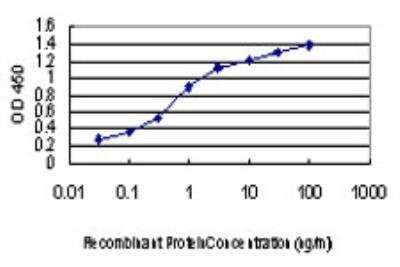 ELISA: KSR2 Antibody (1G4) [H00283455-M08]