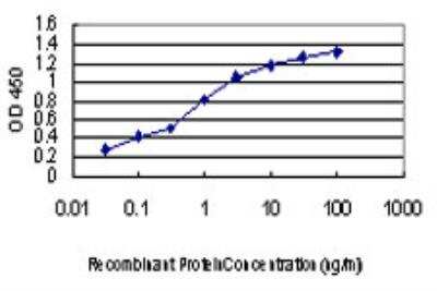 ELISA: KSR2 Antibody (3F11) [H00283455-M07]