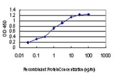 ELISA: KSR2 Antibody (5E9) [H00283455-M06]